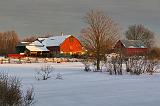 Red Barns At Sunrise_05606